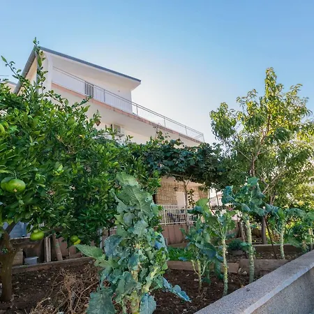 Apartment Cobanov *